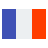 france flag icon